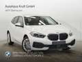 BMW 120 i ADV+LCPROF+LED+PANO+PDC Blanco - thumbnail 2