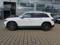 Mercedes-Benz EQB 300 4M AMG Line Premium Distronic Winter-Pak Weiß - thumbnail 3