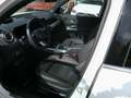 Mercedes-Benz EQB 300 4M AMG Line Premium Distronic Winter-Pak Weiß - thumbnail 6