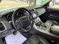 Land Rover Range Rover Sport 3.0TDV6 HSE Dynamic Aut. Blanco - thumbnail 9