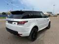 Land Rover Range Rover Sport 3.0TDV6 HSE Dynamic Aut. Blanco - thumbnail 6