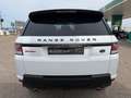 Land Rover Range Rover Sport 3.0TDV6 HSE Dynamic Aut. Blanco - thumbnail 7