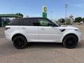 Land Rover Range Rover Sport 3.0TDV6 HSE Dynamic Aut. Blanco - thumbnail 5