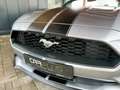 Ford Mustang Shelby GT 500 Sport Cabrio Premium Silber - thumbnail 26