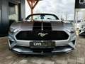 Ford Mustang Shelby GT 500 Sport Cabrio Premium Silver - thumbnail 2