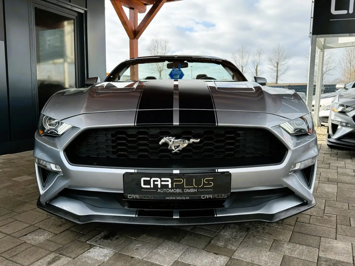 Ford Mustang Shelby GT 500 Sport Cabrio Premium Silver - 2