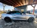 Ford Mustang Shelby GT 500 Sport Cabrio Premium srebrna - thumbnail 11