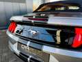 Ford Mustang Shelby GT 500 Sport Cabrio Premium srebrna - thumbnail 7