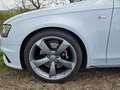 Audi A4 A4 Avant 3.0 TD S line Competition Suzukagrau Weiß - thumbnail 6