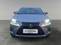 Lexus NX 300h NX 300h Executive Hybrid Aut. Argent - thumbnail 8