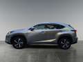 Lexus NX 300h NX 300h Executive Hybrid Aut. Argent - thumbnail 2