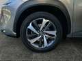 Lexus NX 300h NX 300h Executive Hybrid Aut. Argent - thumbnail 14