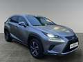 Lexus NX 300h NX 300h Executive Hybrid Aut. Argent - thumbnail 7