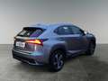 Lexus NX 300h NX 300h Executive Hybrid Aut. Argent - thumbnail 5