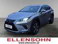 Lexus NX 300h NX 300h Executive Hybrid Aut. Argent - thumbnail 1