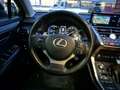 Lexus NX 300h NX 300h Executive Hybrid Aut. Argent - thumbnail 11