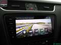 Skoda Octavia Octavia 2.0 TDI PANORAMA,KEYLESS,ACC,KAMERA,1.HD Чорний - thumbnail 20