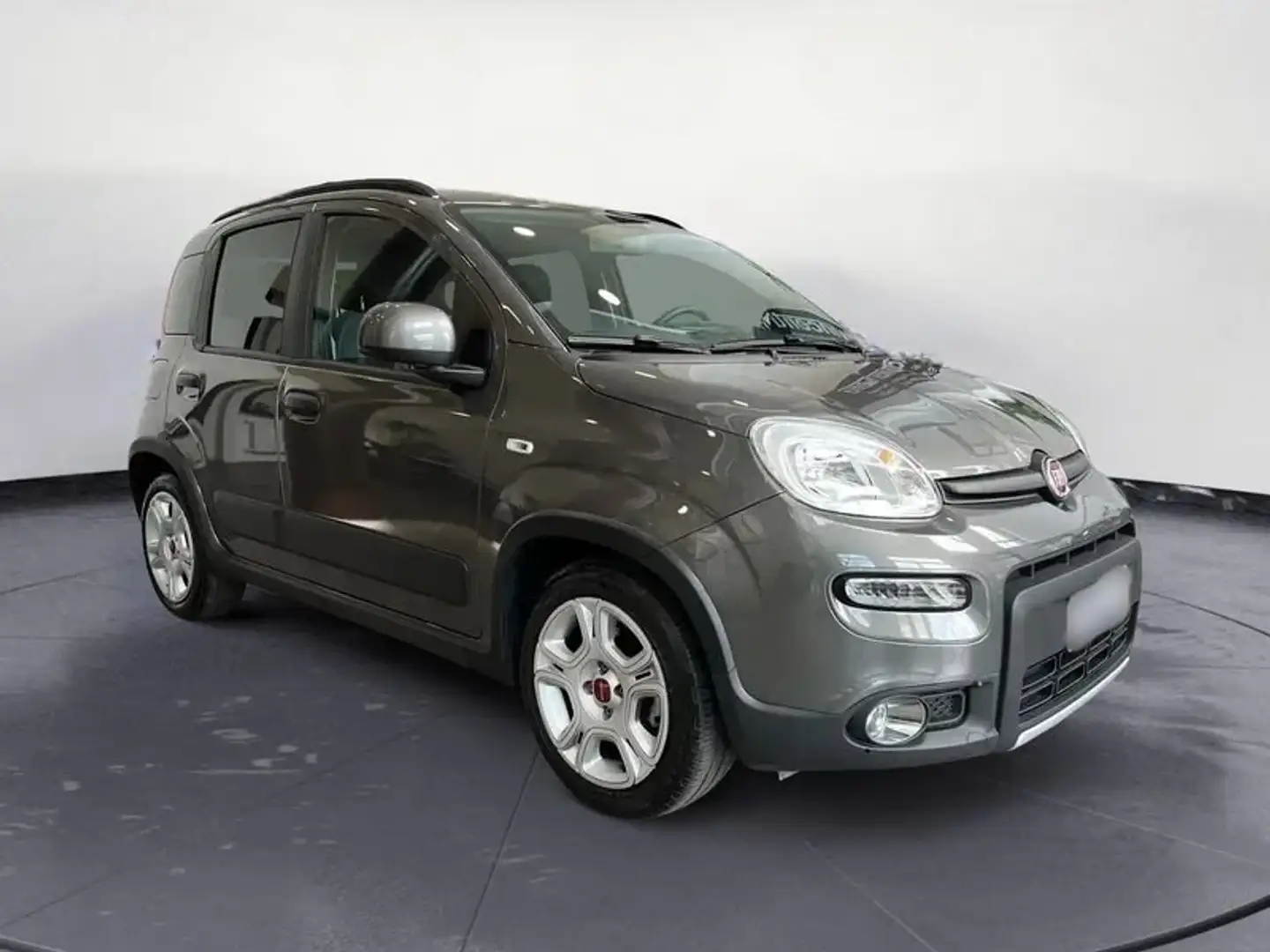 Fiat Panda 1.0 firefly hybrid s&s Neopatentti Gri - 2