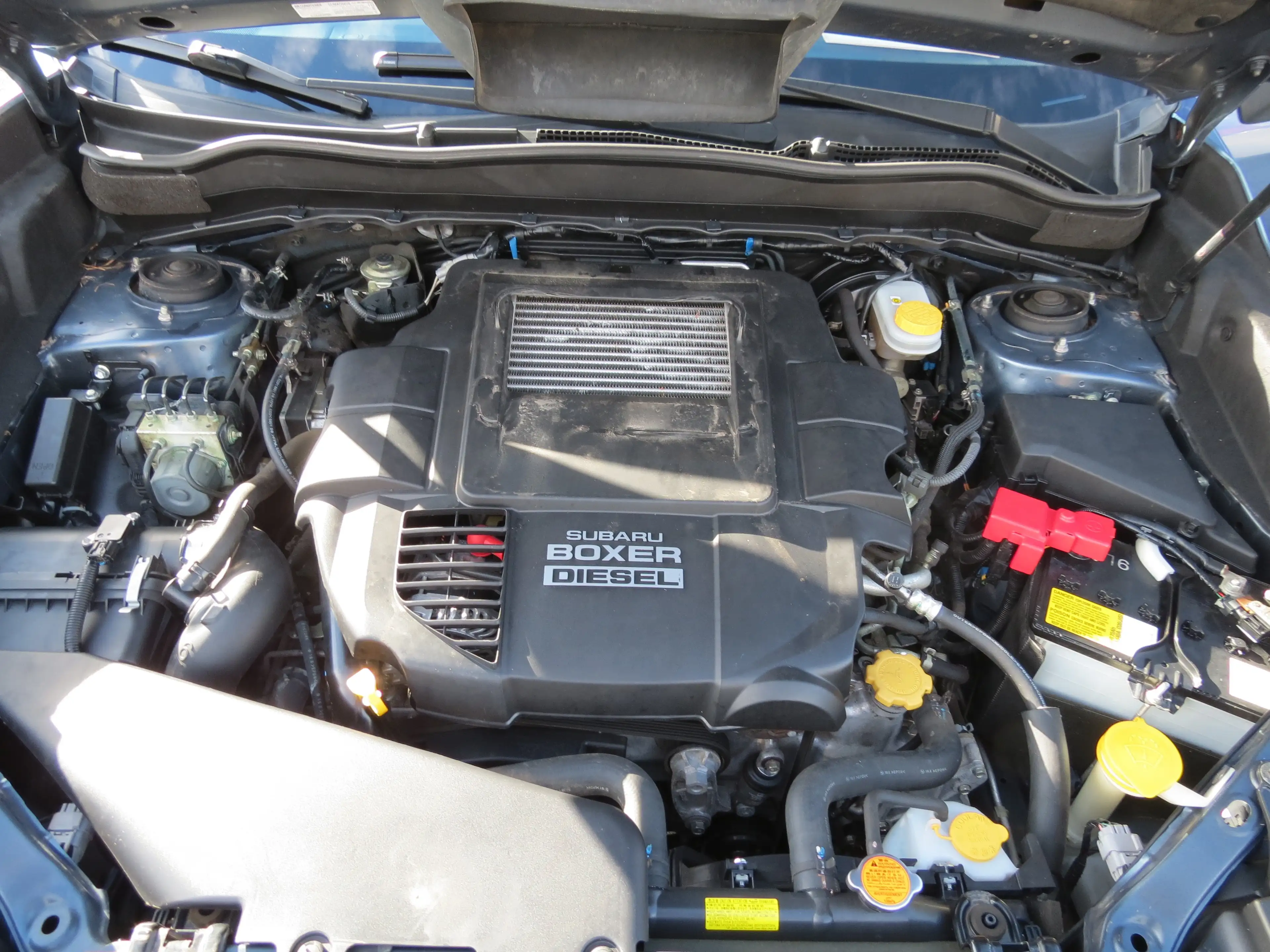 Subaru Forester Active 4x4 Allwetter!!Alu!! AHK!!Klimaut.! — photo 12