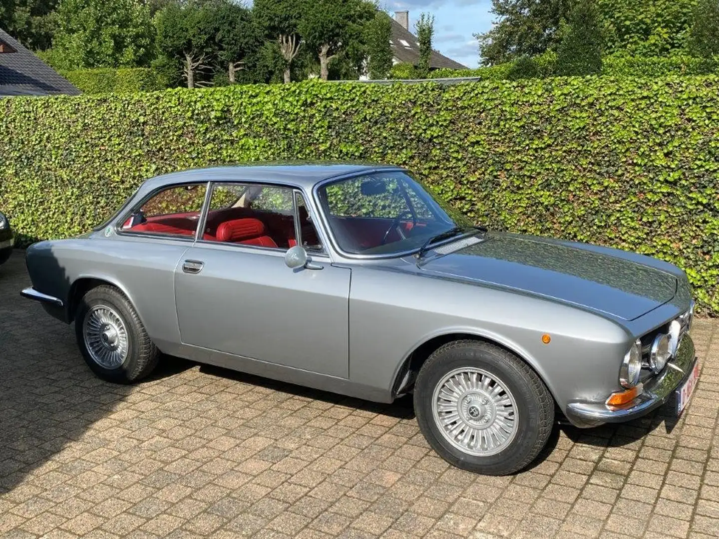 Alfa Romeo GT gt junior siva - 1