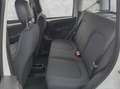 Fiat Panda MY24 Hybrid 1.0 GSE 70PS KLIMAANLAGE*RADIO Weiß - thumbnail 16