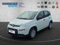 Fiat Panda MY24 Hybrid 1.0 GSE 70PS KLIMAANLAGE*RADIO Weiß - thumbnail 1