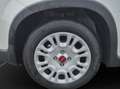Fiat Panda MY24 Hybrid 1.0 GSE 70PS KLIMAANLAGE*RADIO Weiß - thumbnail 11