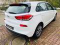 Hyundai i30 1.4 T-GDI Trend DCT Automatic Alu SZH LHZ Bianco - thumbnail 6