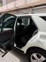 Mercedes-Benz ML 420 ML 420CDI 4M Aut. Blanco - thumbnail 10