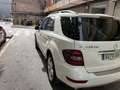 Mercedes-Benz ML 420 ML 420CDI 4M Aut. Blanco - thumbnail 7