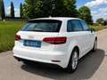 Audi A3 A3 SB 1,0 TFSI Weiß - thumbnail 2
