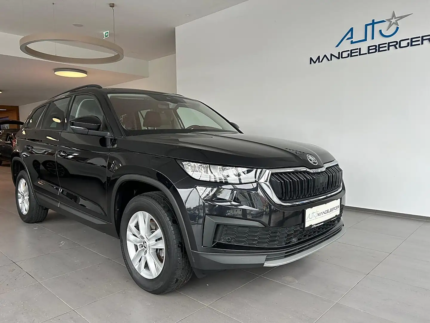 Skoda Kodiaq 2.0 TDI Ambition (EURO 6d) Schwarz - 1