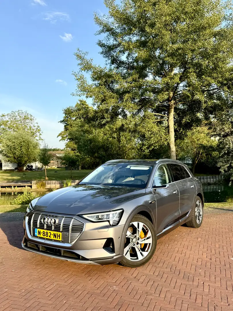 Audi e-tron e-tron 55 quattro Grijs - 1