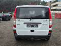 Mercedes-Benz Vito Kasten 110 CDI kompakt Weiß - thumbnail 5