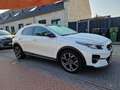 Kia XCeed XCeed 1.4 T-GDi Dyn.Pl.L. Wit - thumbnail 9