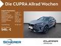 CUPRA Formentor VZ 2.0 TSI 4Drive NAVI ACC KAMERA SHZ Grau - thumbnail 1