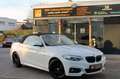 BMW 220 i Cabrio Steptr. M-Sport LED PDC AHK NAV H&K Weiß - thumbnail 4