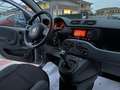 Fiat Panda Panda 1.2 EasyPower Lounge Grijs - thumbnail 19