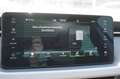 Skoda Scala 1.0 TSI 115pk DSG Business Edition Skoda Scala 1.0 Blauw - thumbnail 32