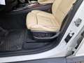 BMW X5 xDrive30d M paket voll - thumbnail 6