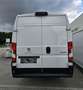 Peugeot Boxer L4 , H2 Navi, Ruckfahrkamera Weiß - thumbnail 7