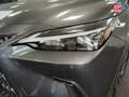 Lexus NX 450h+ 450h+ Luxe 4WD Grau - thumbnail 13