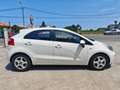 Kia Rio 1.4CRDi Concept Blanco - thumbnail 4