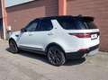 Land Rover Discovery Discovery 3.0 Luxury HSE 7 p.ti Bianco - thumbnail 2