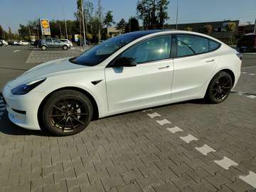 Model 3 Standard rwd Plus