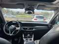 Alfa Romeo Stelvio Stelvio 2.2 t Business Q4 210cv auto Rosso - thumbnail 5