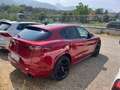 Alfa Romeo Stelvio Stelvio 2.2 t Business Q4 210cv auto Rosso - thumbnail 3