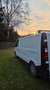Renault Trafic Gedämmt, mit Dachluke Weiß - thumbnail 3