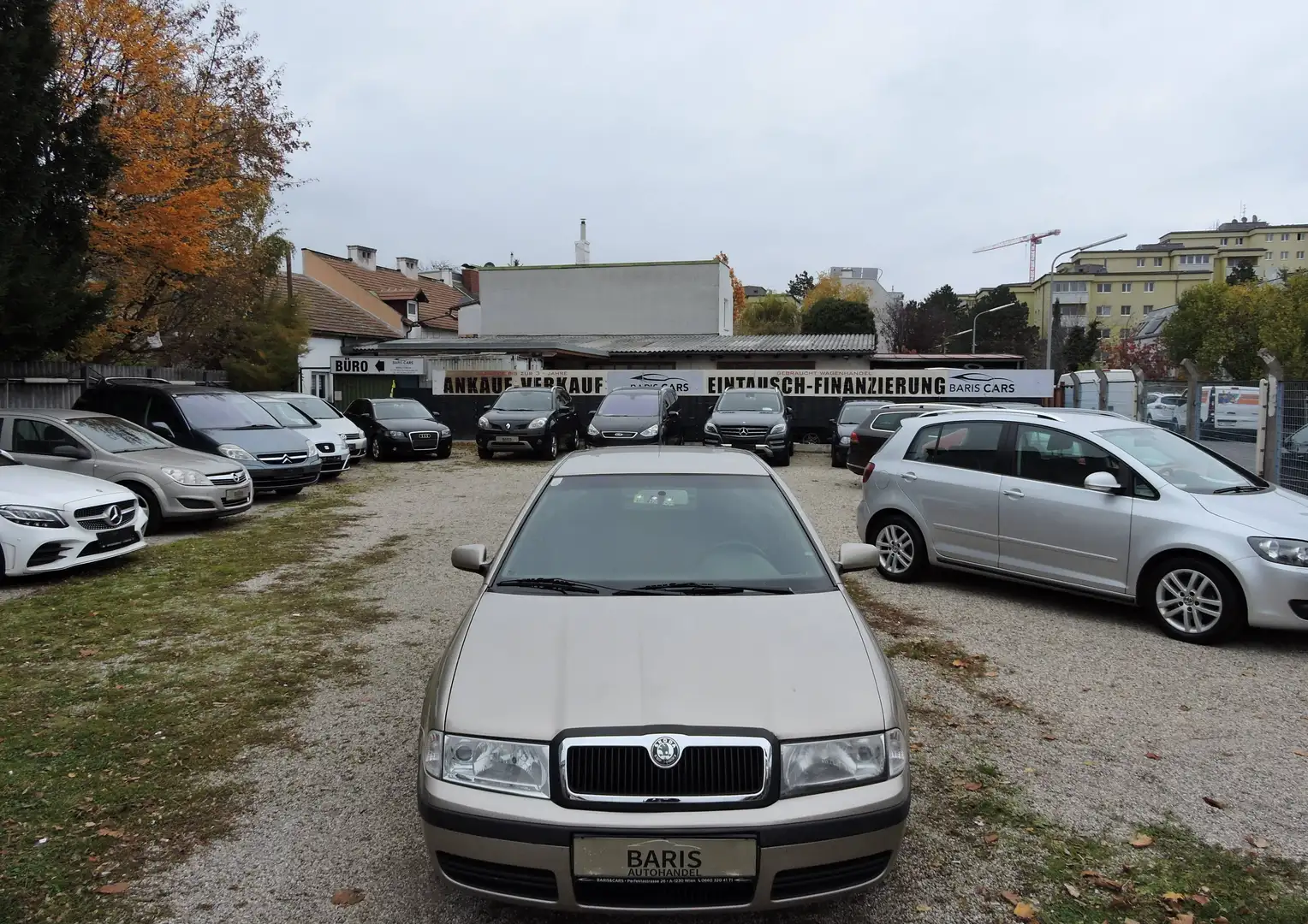 Skoda Octavia Octavia 1,9 Elegance TDI Aut. Elegance Bronze - 1