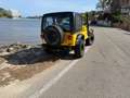 Jeep Wrangler Wrangler 4.0 Aut. Amarillo - thumbnail 12